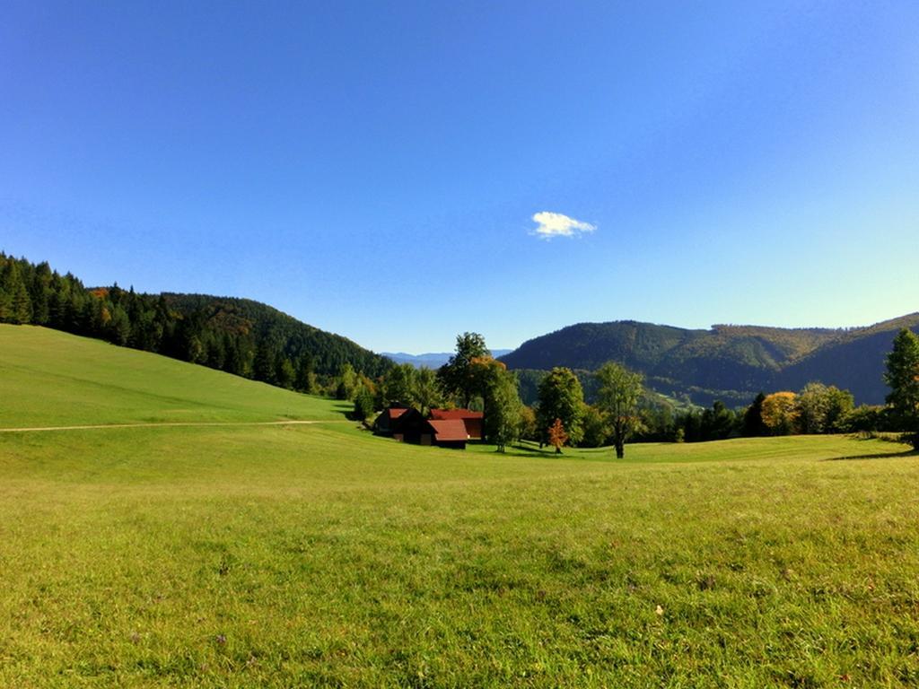 Gaestehaus Forstner Loich Exterior foto